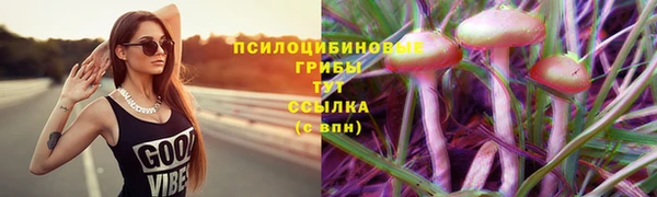 марки nbome Гусь-Хрустальный