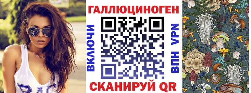 дарнет шоп  Воскресенск  Галлюциногенные грибы Psilocybine cubensis 