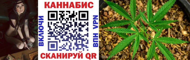 купить наркотики сайты  Воскресенск  Конопля сатива 
